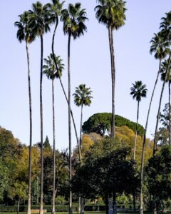 Parc séville