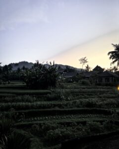 hotel bali